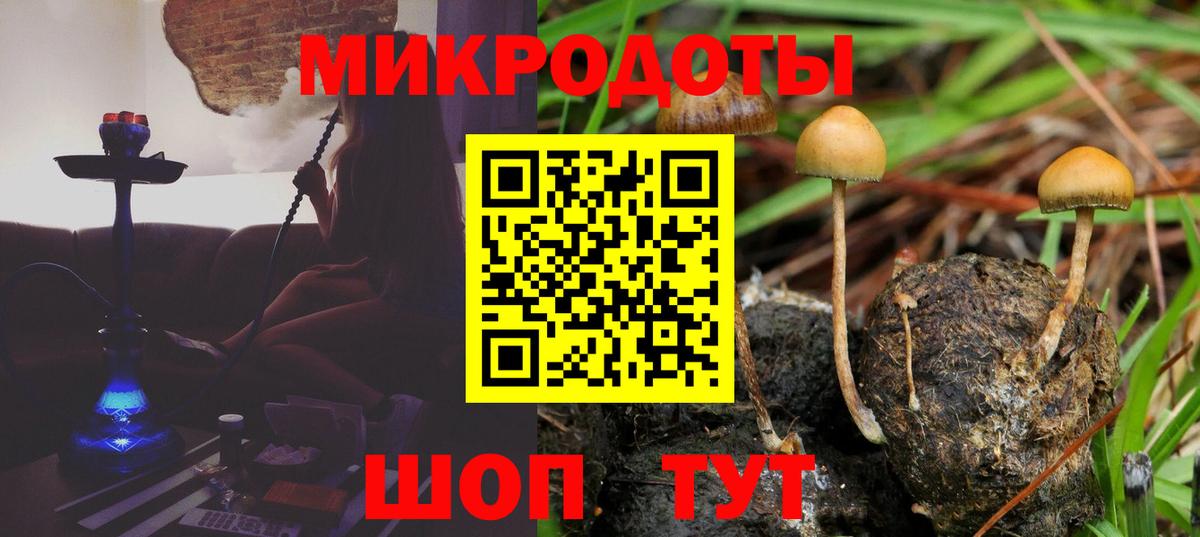 Касимов  Галлюциногенные грибы мухоморы  Псилоцибиновые грибы MAGIC MUSHROOMS  Вход с VPN 