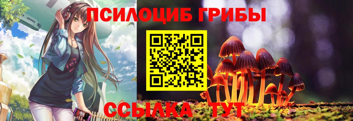 Псилоцибиновые грибы Cubensis Касимов